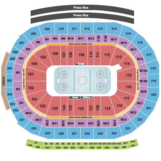 Detroit Red Wings Seating Chart View